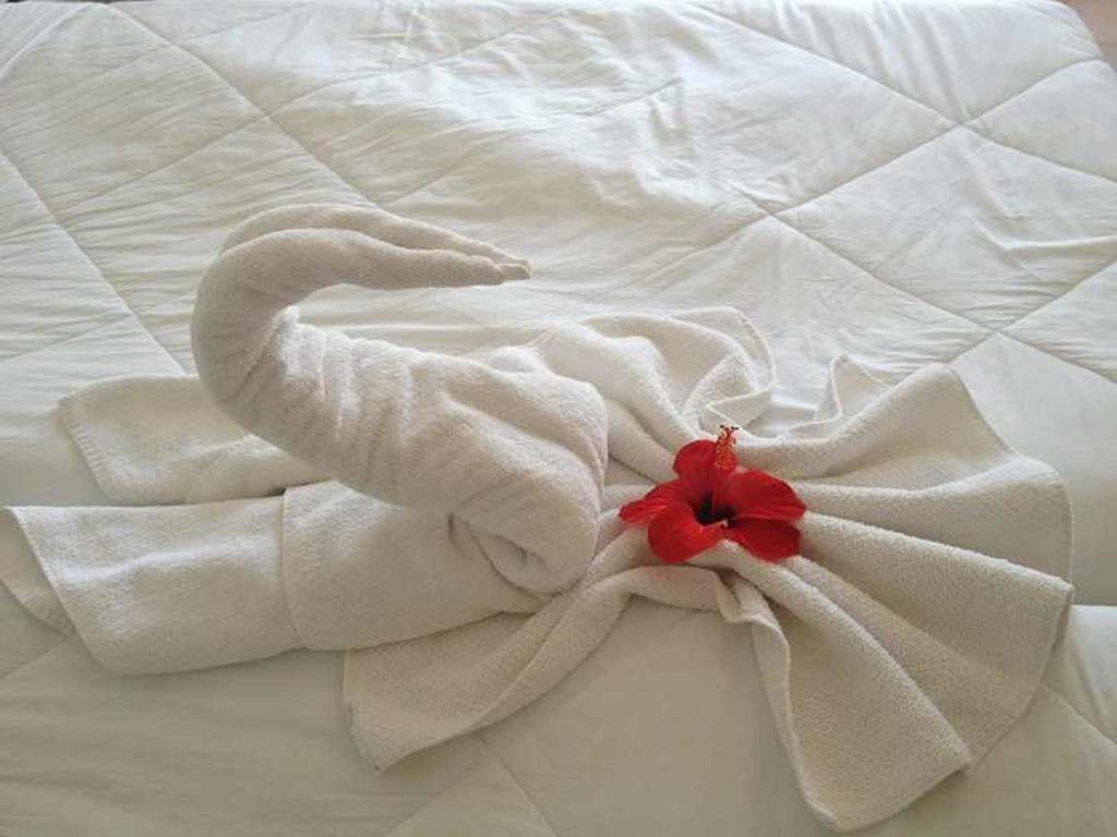 Hotel Aurora Scauri  Zewnętrze zdjęcie